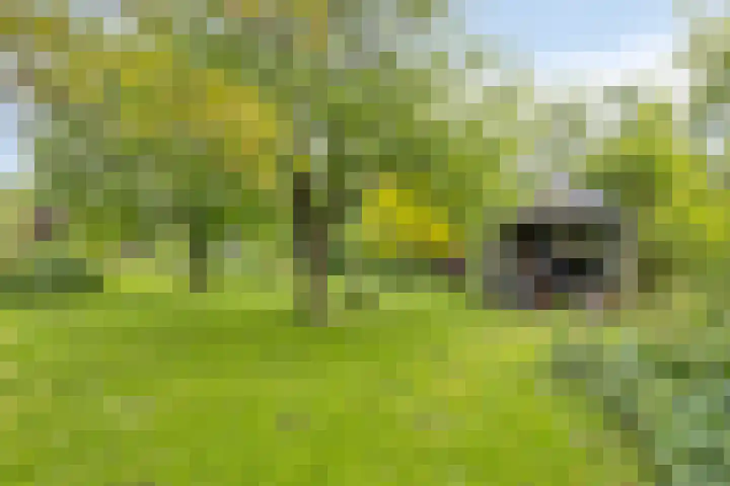Flierensestraat 22 Gendt thumbnail 27