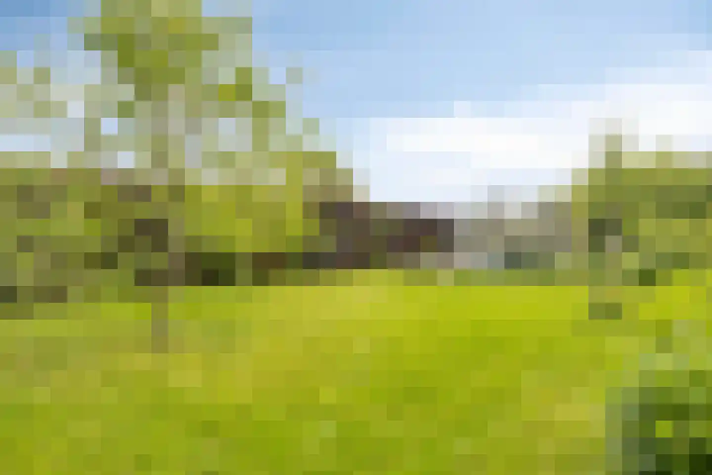 Flierensestraat 22 Gendt thumbnail 28