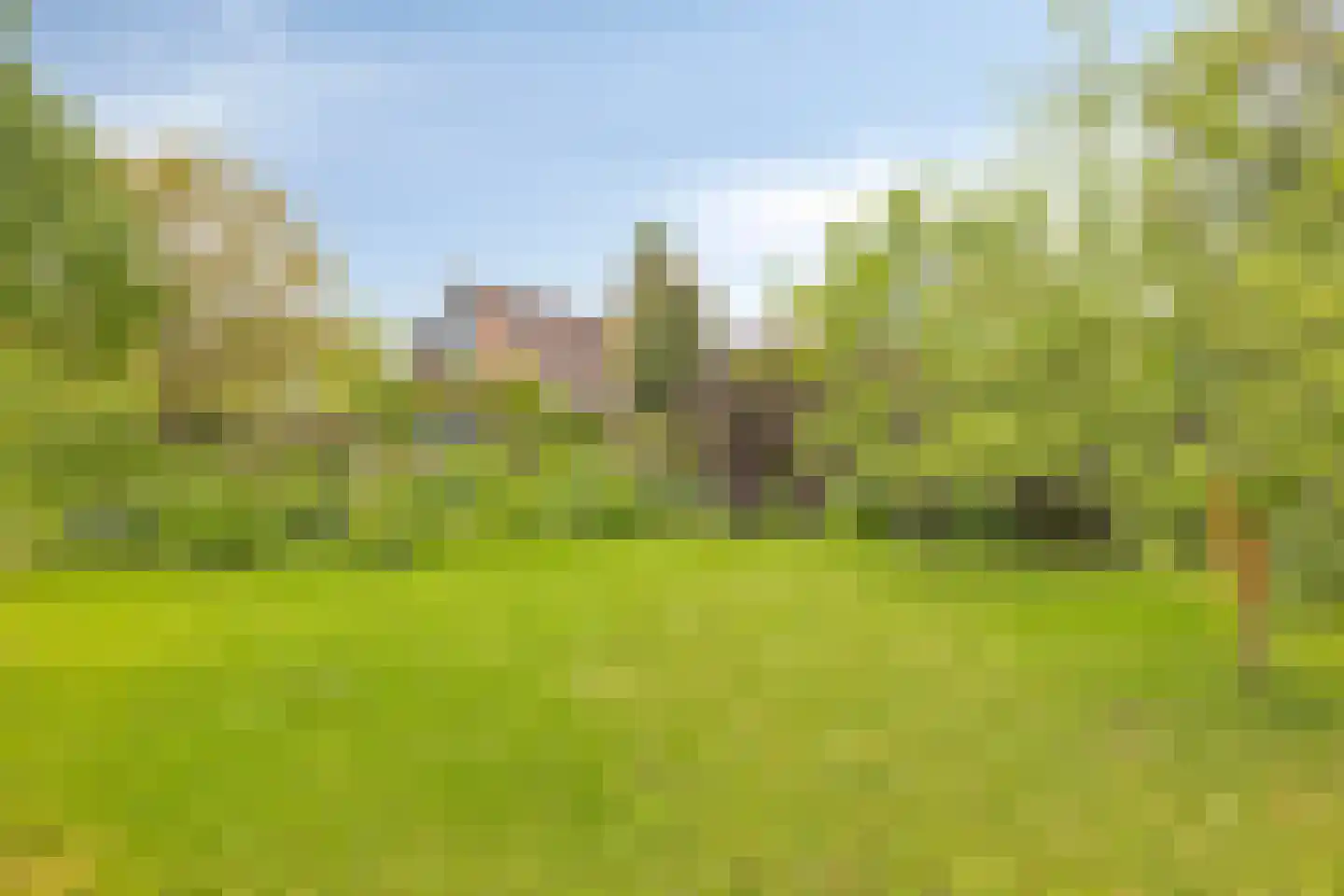Flierensestraat 22 Gendt thumbnail 29