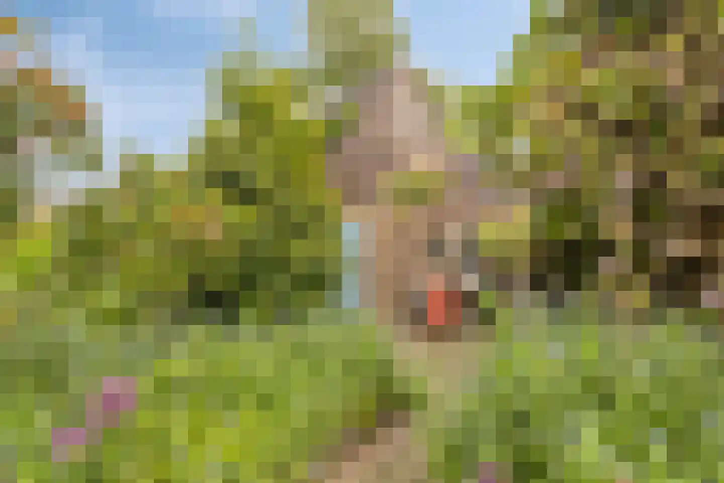 Flierensestraat 22 Gendt thumbnail 30