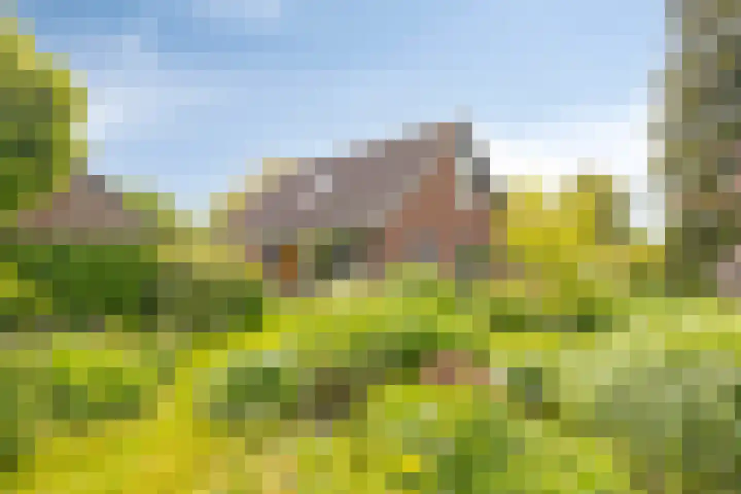 Flierensestraat 22 Gendt thumbnail 31