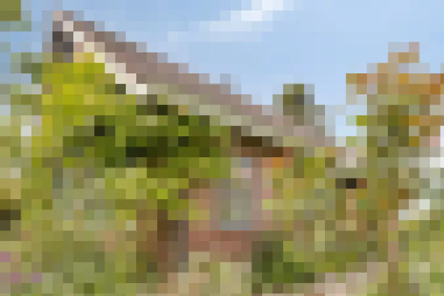 Flierensestraat 22 Gendt thumbnail 32