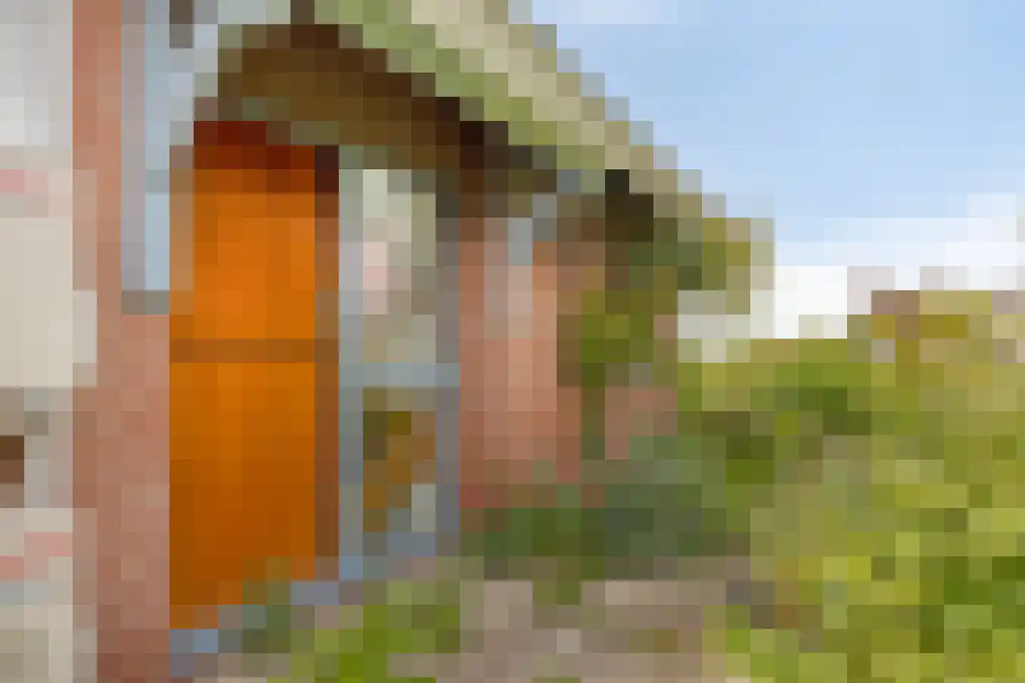 Flierensestraat 22 Gendt thumbnail 33