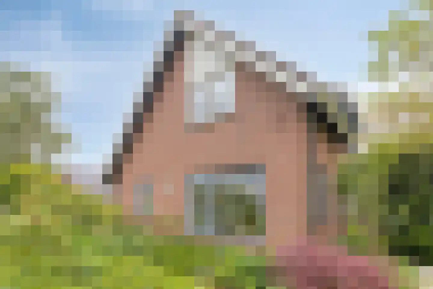 Flierensestraat 22 Gendt thumbnail 34