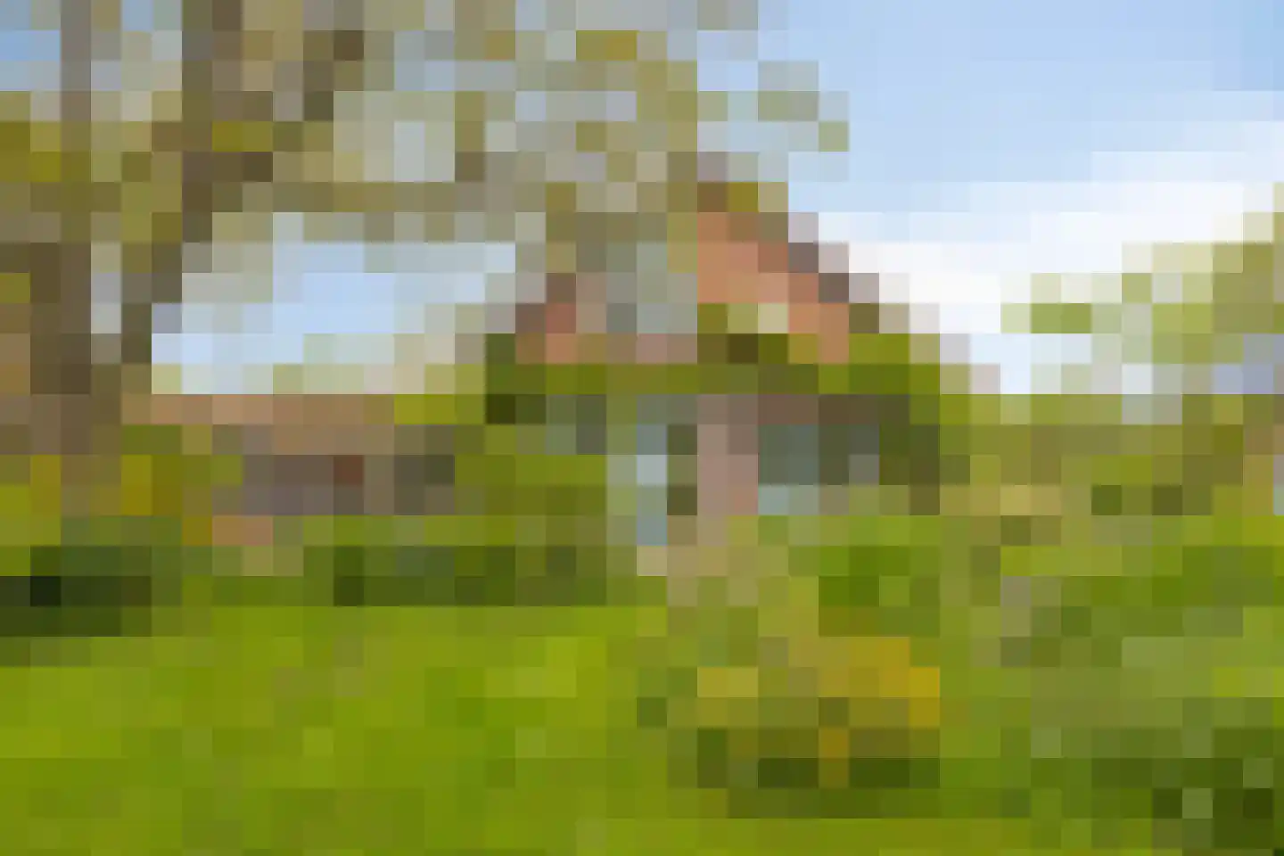 Flierensestraat 22 Gendt thumbnail 35
