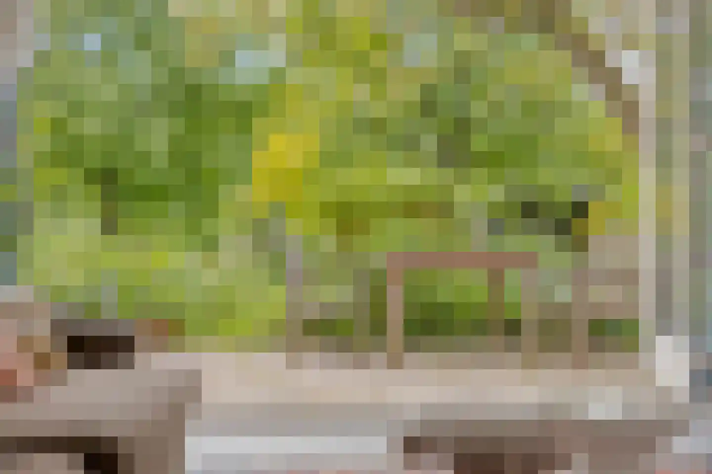 Flierensestraat 22 Gendt thumbnail 6
