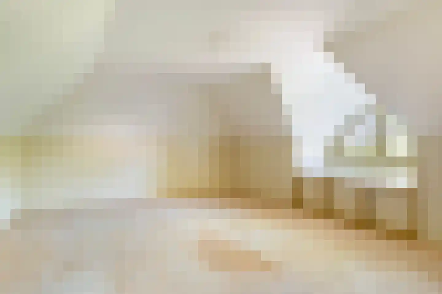 Fliermatenweg 11 Holten thumbnail 31