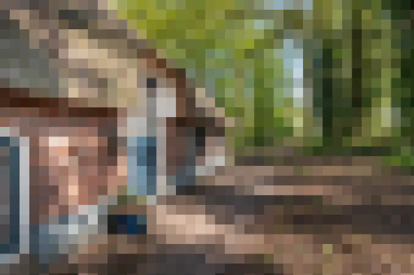 Fliermatenweg 11 Holten thumbnail 33
