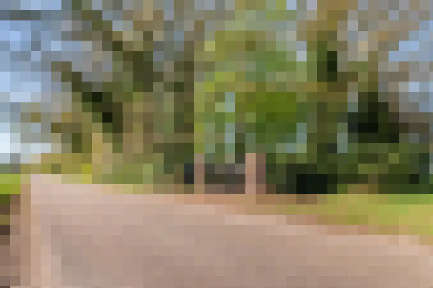 Fliermatenweg 11 Holten thumbnail 34