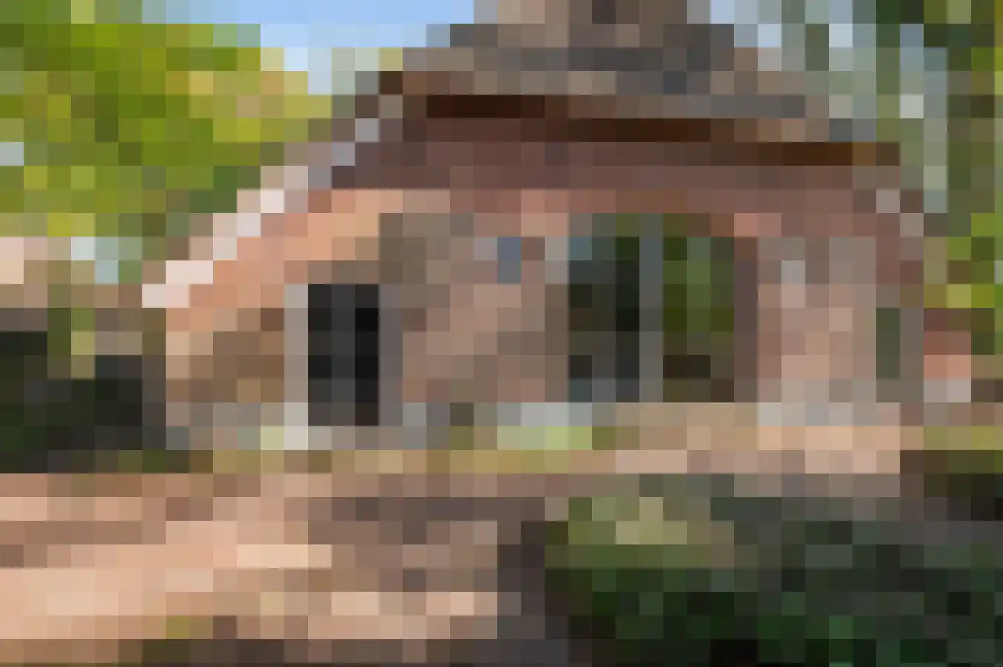Fliermatenweg 11 Holten thumbnail 4