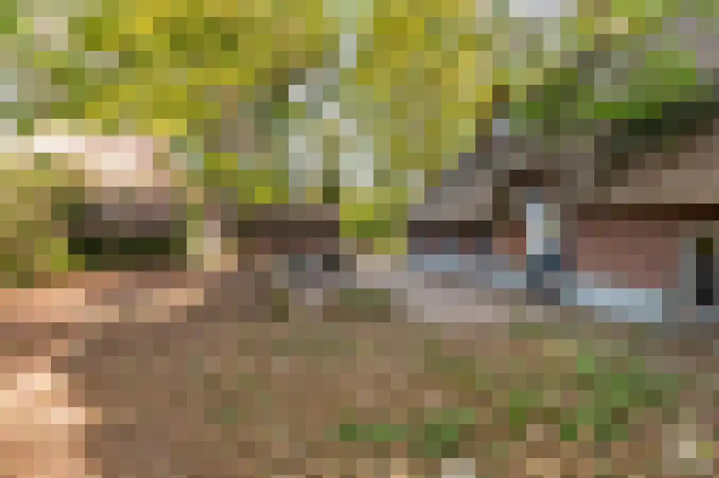 Fliermatenweg 11 Holten thumbnail 5