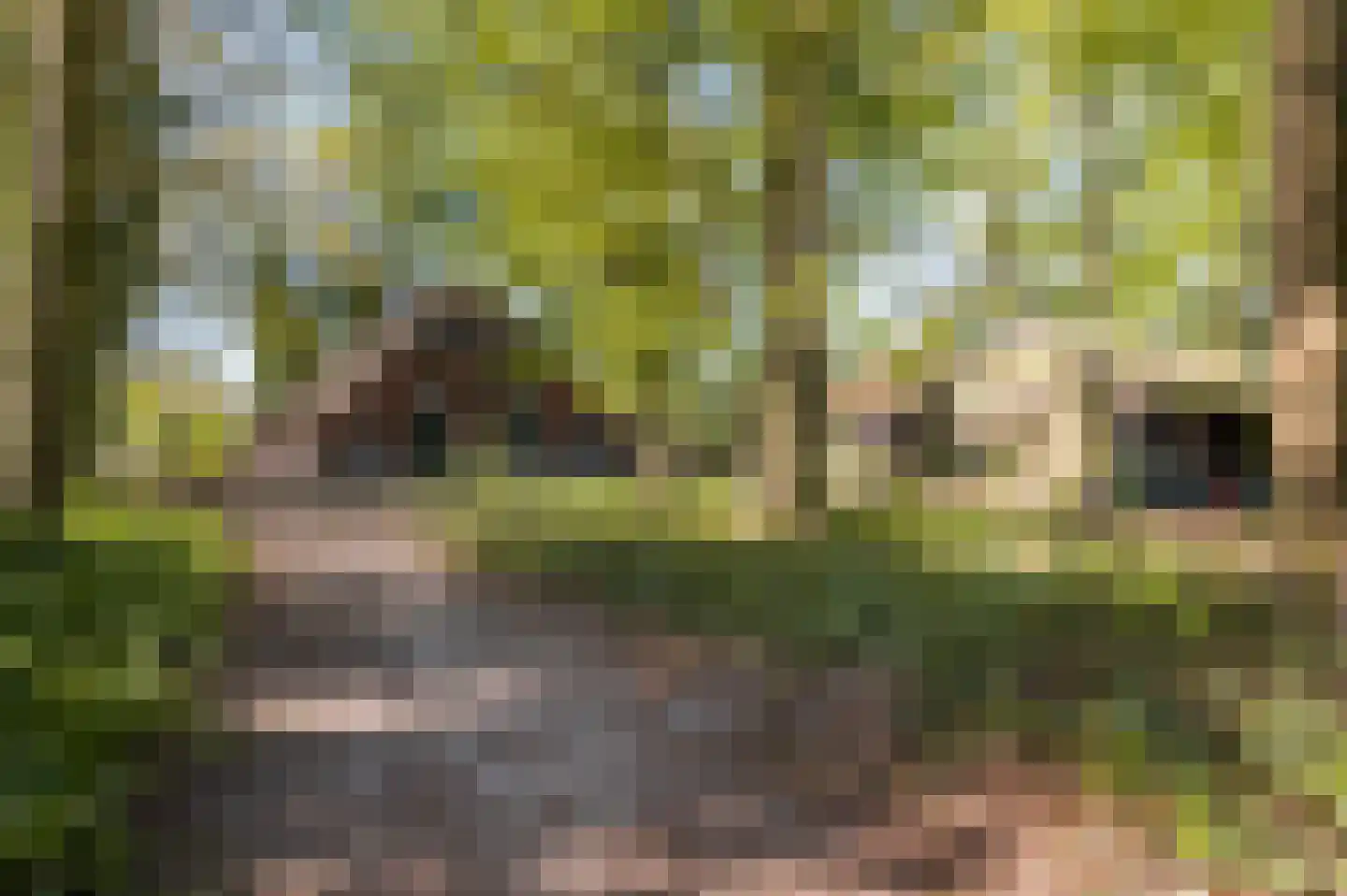 Fliermatenweg 11 Holten thumbnail 6