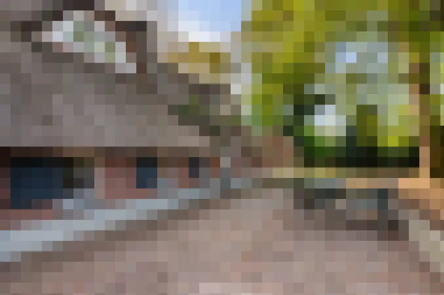 Fliermatenweg 11 Holten thumbnail 8