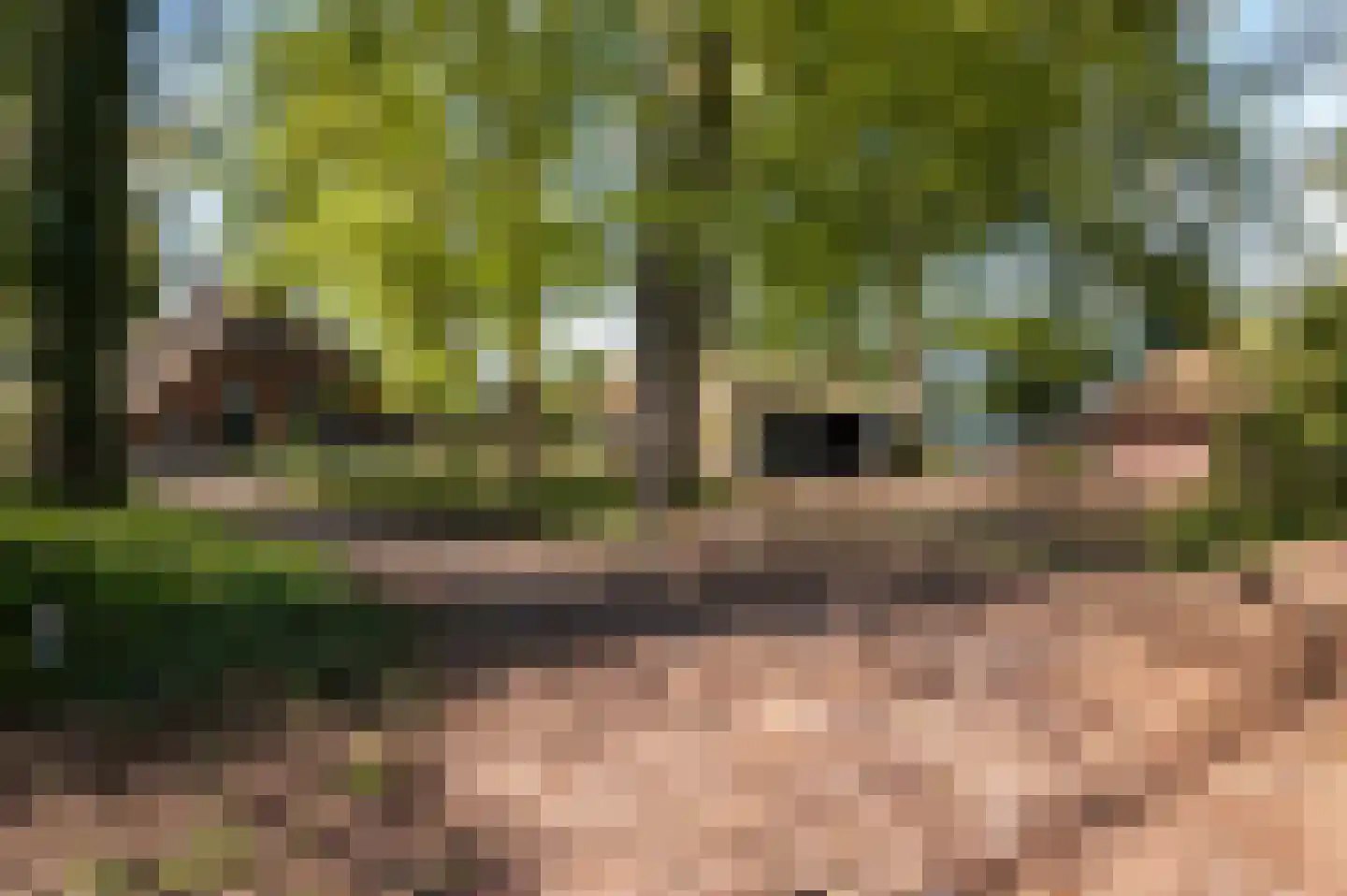 Fliermatenweg 11 Holten thumbnail 9