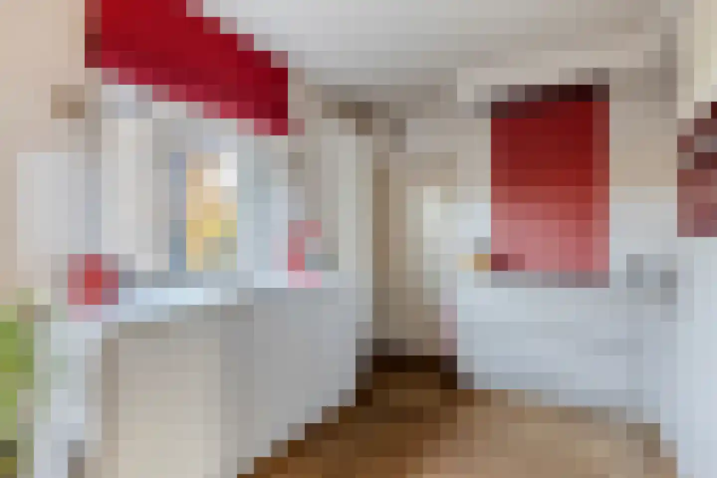 Flierstraat 100 A Lage Zwaluwe thumbnail 16
