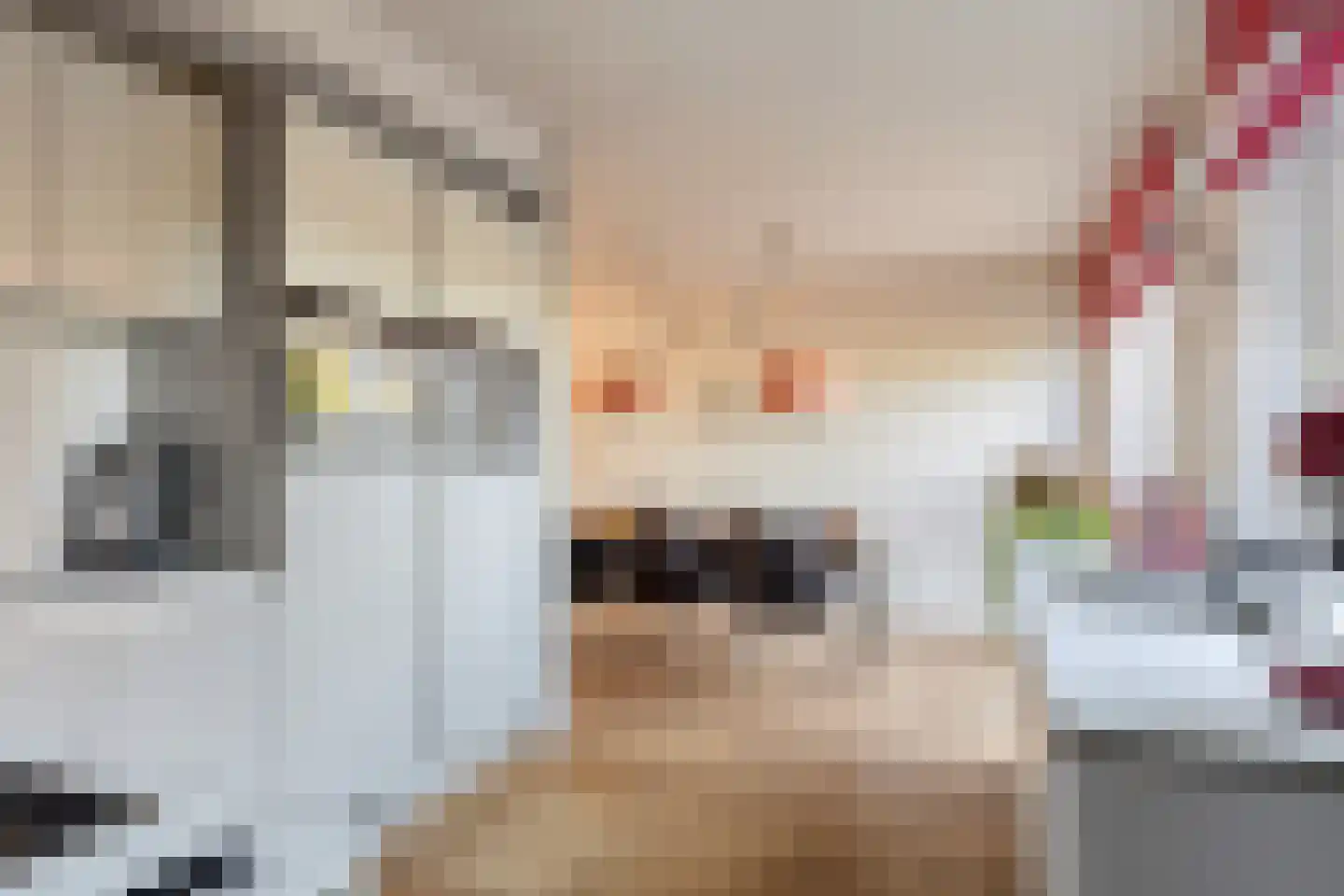 Flierstraat 100 A Lage Zwaluwe thumbnail 18