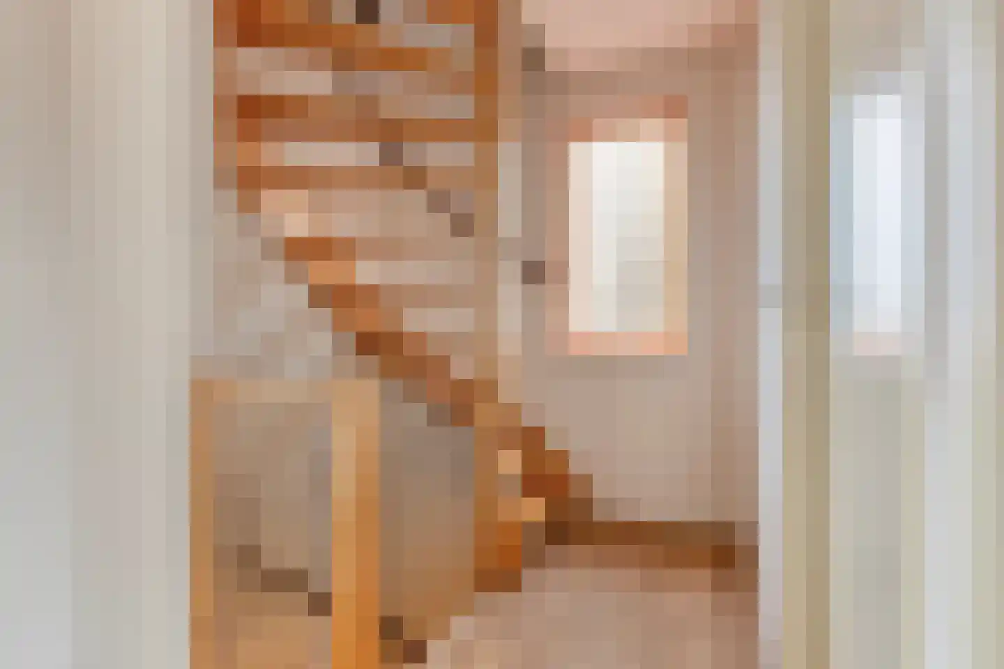 Flierstraat 100 A Lage Zwaluwe thumbnail 36