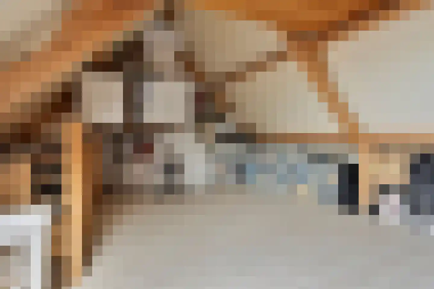 Flierstraat 100 A Lage Zwaluwe thumbnail 38
