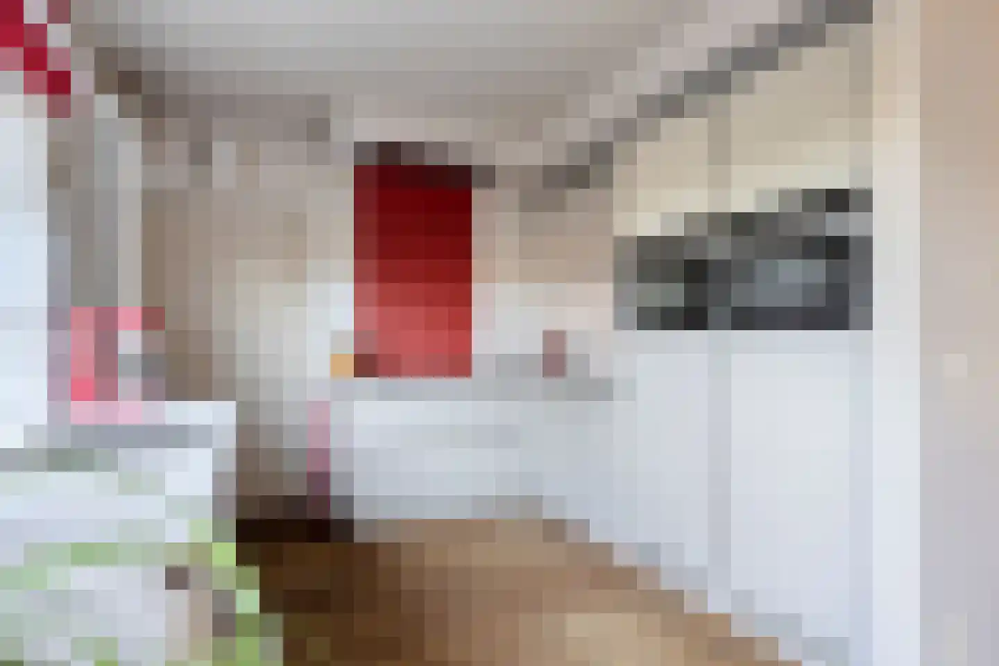 Flierstraat 100 A Lage Zwaluwe thumbnail 4