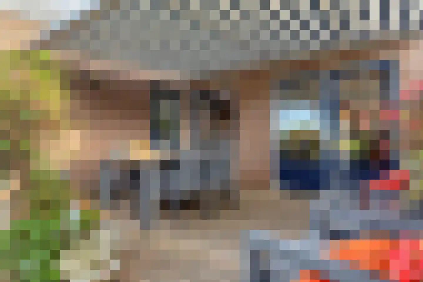 Flierstraat 100 A Lage Zwaluwe thumbnail 41