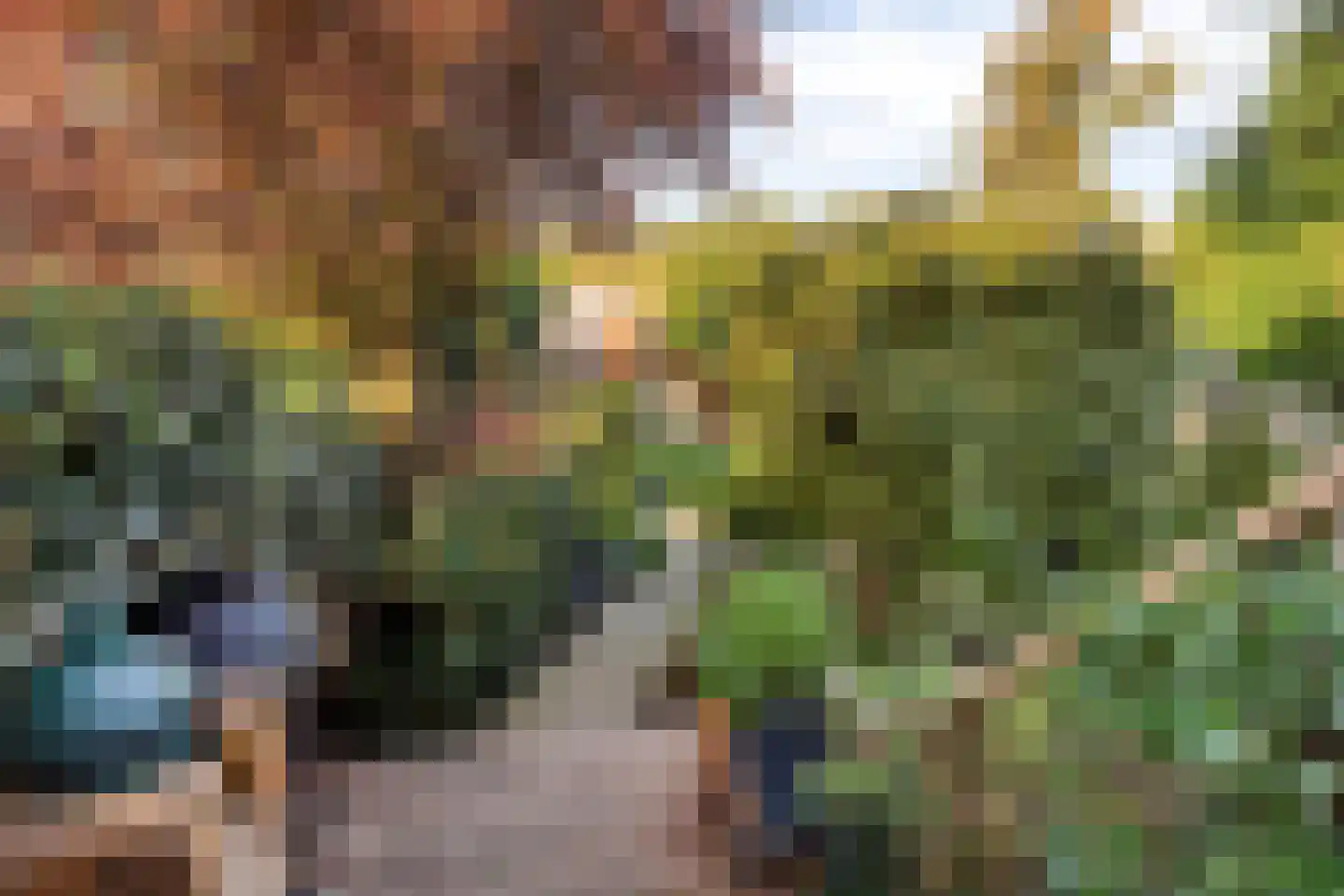 Flierstraat 100 A Lage Zwaluwe thumbnail 44