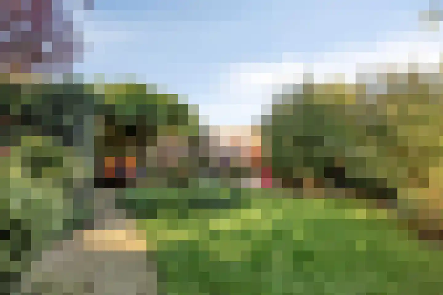 Flierstraat 100 A Lage Zwaluwe thumbnail 45