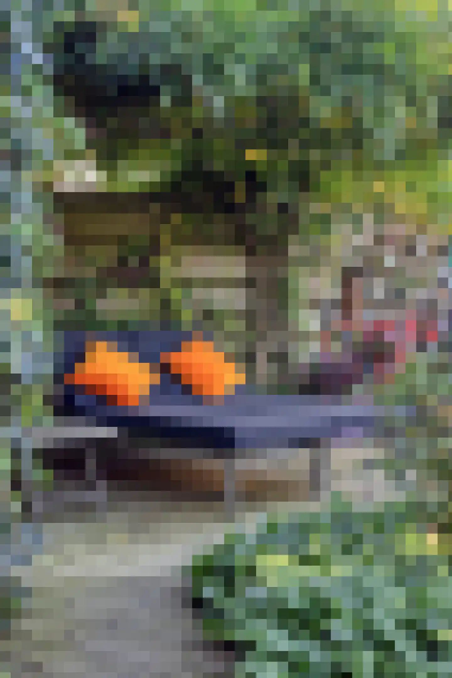 Flierstraat 100 A Lage Zwaluwe thumbnail 47