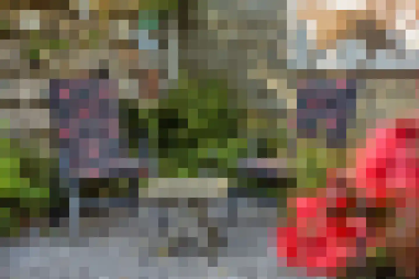 Flierstraat 100 A Lage Zwaluwe thumbnail 49