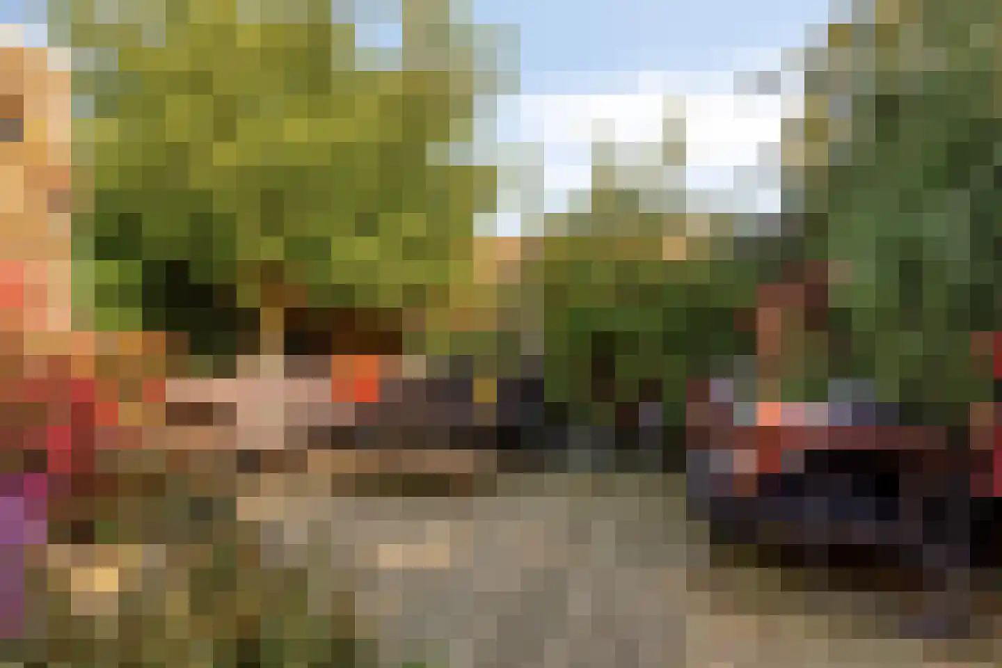 Flierstraat 100 A Lage Zwaluwe thumbnail 50