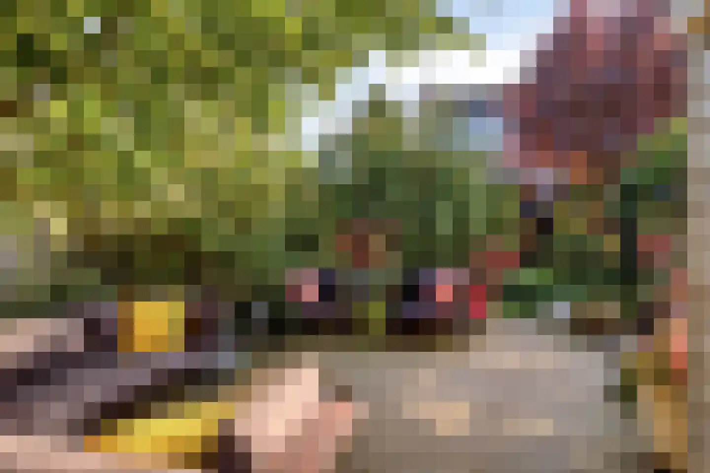 Flierstraat 100 A Lage Zwaluwe thumbnail 51