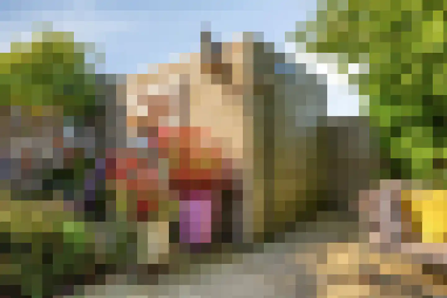Flierstraat 100 A Lage Zwaluwe thumbnail 54
