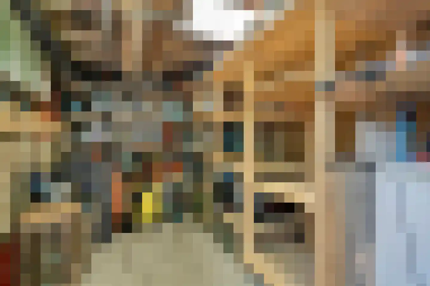 Flierstraat 100 A Lage Zwaluwe thumbnail 55