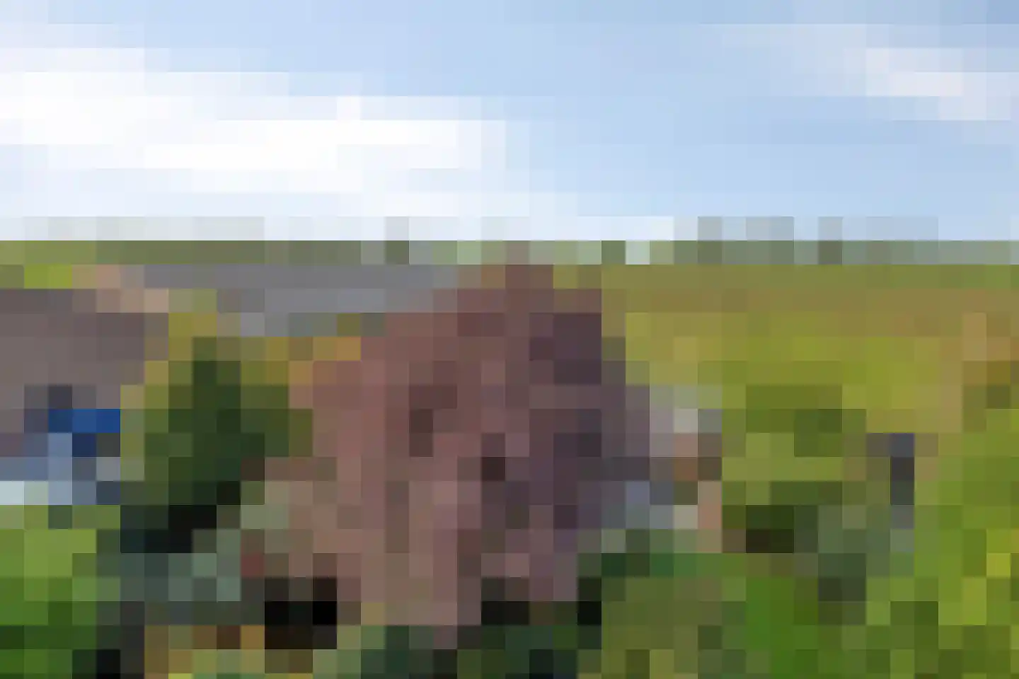 Flierstraat 100 A Lage Zwaluwe thumbnail 58