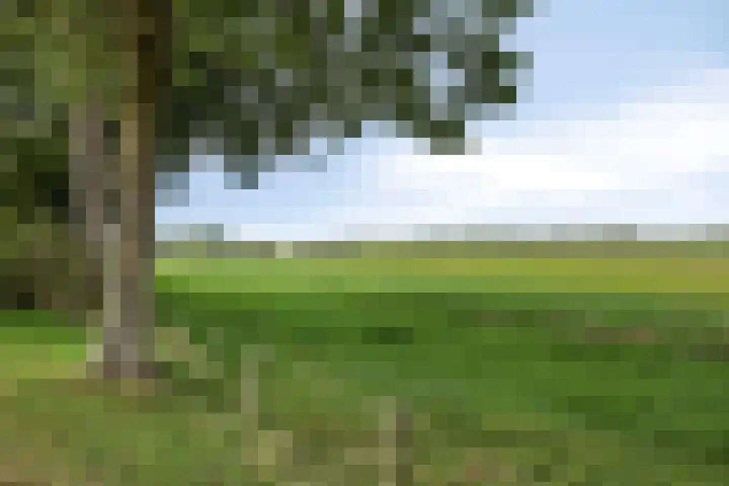 Flierstraat 100 A Lage Zwaluwe thumbnail 64
