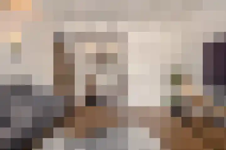 Flierstraat 11 Lage Zwaluwe thumbnail 10