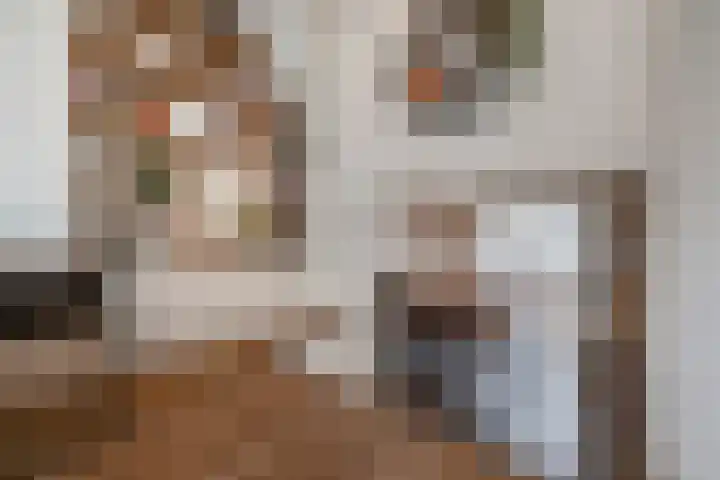Flierstraat 11 Lage Zwaluwe thumbnail 12
