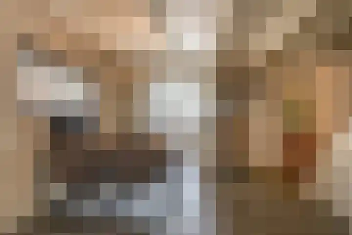 Flierstraat 11 Lage Zwaluwe thumbnail 13
