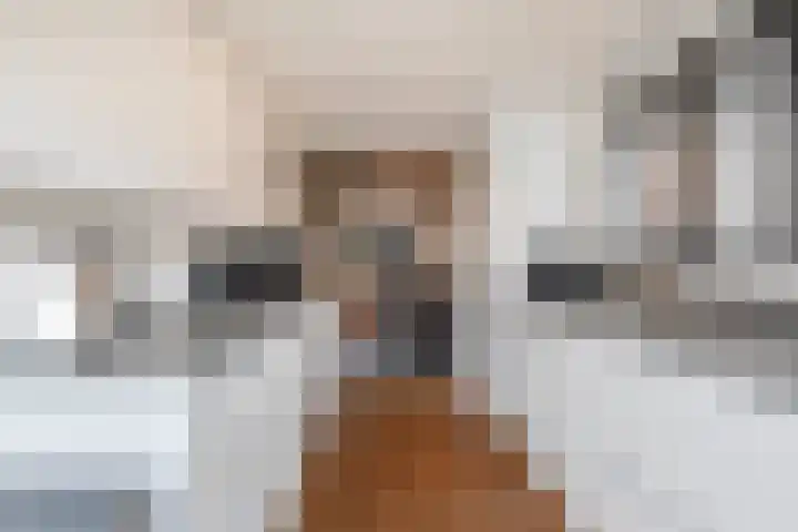 Flierstraat 11 Lage Zwaluwe thumbnail 18