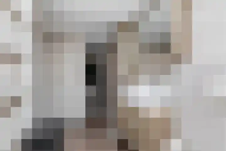 Flierstraat 11 Lage Zwaluwe thumbnail 21