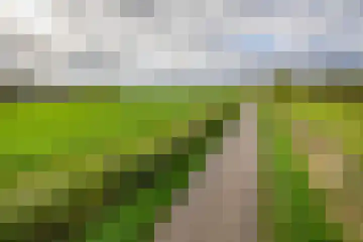 Flierstraat 11 Lage Zwaluwe thumbnail 38