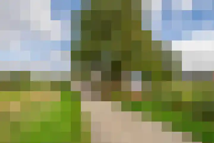 Flierstraat 11 Lage Zwaluwe thumbnail 39