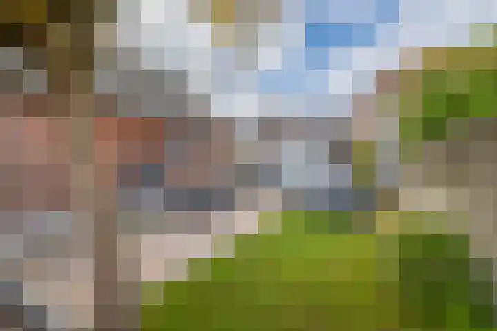 Flierstraat 11 Lage Zwaluwe thumbnail 4