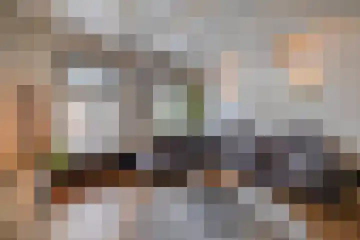 Flierstraat 11 Lage Zwaluwe thumbnail 8