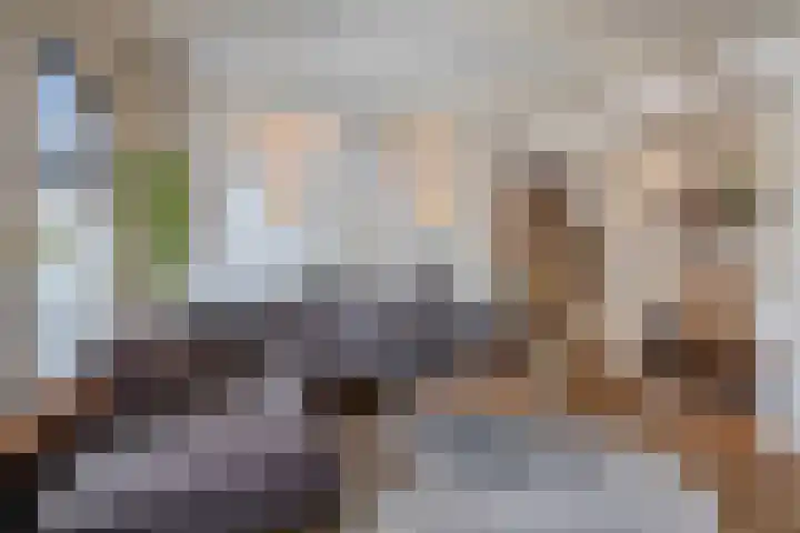 Flierstraat 11 Lage Zwaluwe thumbnail 9