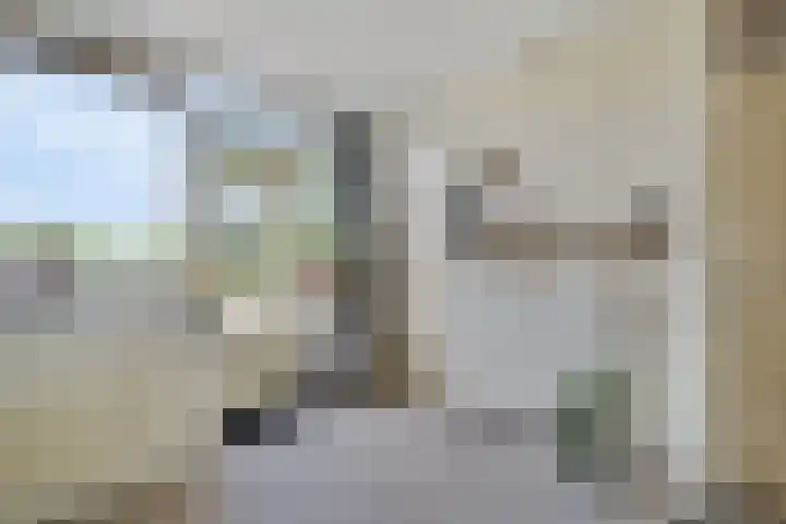 Flierstraat 14 Lage Zwaluwe thumbnail 15