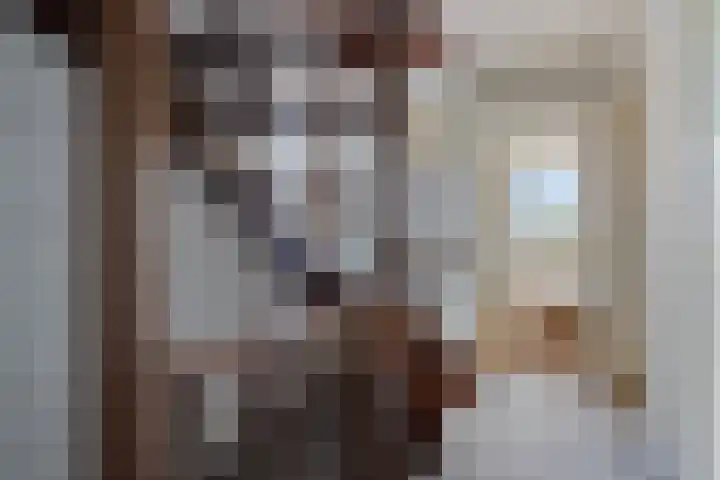 Flierstraat 14 Lage Zwaluwe thumbnail 20