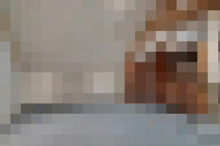 Flierstraat 14 Lage Zwaluwe thumbnail 31