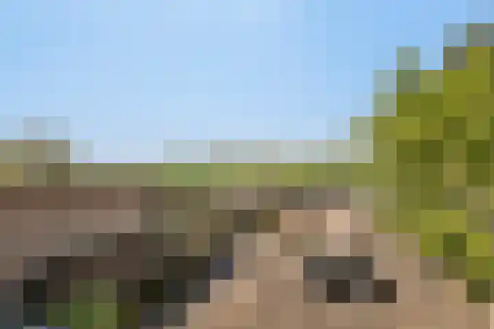 Flierstraat 14 Lage Zwaluwe thumbnail 37
