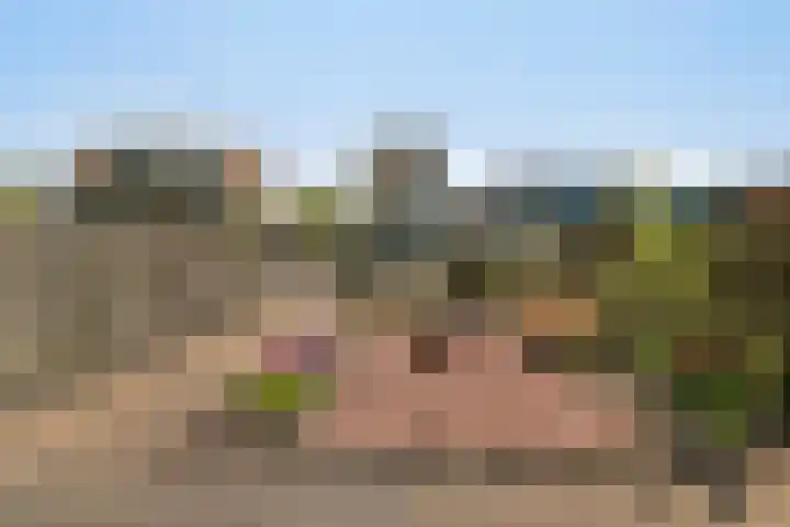 Flierstraat 14 Lage Zwaluwe thumbnail 45