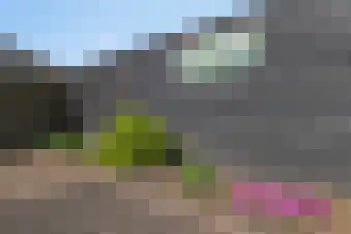 Flierstraat 14 Lage Zwaluwe thumbnail 46